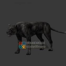 leopard 豹 Max模型
