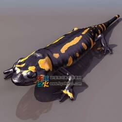 Lizard 蜥蜴3DS模型