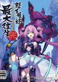 DoDonPachi SaiDaiOuJou Special Edition Visual Book 怒首領(lǐng)蜂設(shè)定集