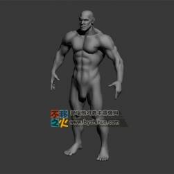 健美肌肉男 Max模型 四邊面