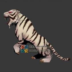 White tiger 白虎 Max模型 含動(dòng)作