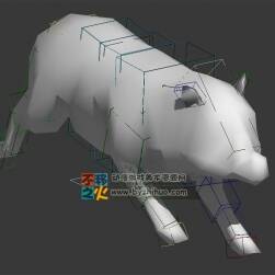 動(dòng)物動(dòng)作之家養(yǎng)豬 Max模型