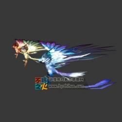 Bird  三只不同顏色的鳥