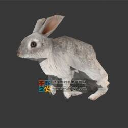 動物動作之兔子 Max模型