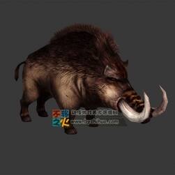 野山豬 Max模型 四邊面