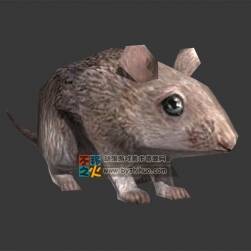 動物動作之有點(diǎn)萌的老鼠 Max模型