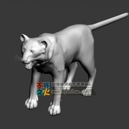 Lion 獅子白模 3DS 模型