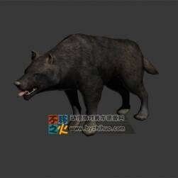 wolf 狼 Max模型