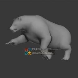 Polar bear 北極熊 Max模型