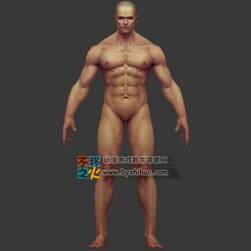 壯漢 男體 標(biāo)準(zhǔn)體型 模型