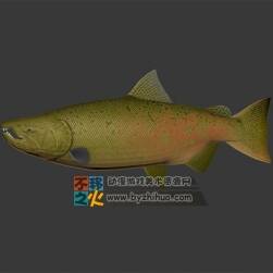 好多魚來(lái)襲！ fish 3DS魚模型