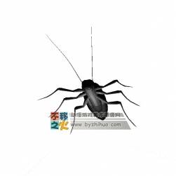 ROACH 蟑螂 3DS模型