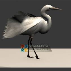 白鷺 Max模型