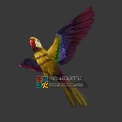 簡化版 彩色小鸚鵡 Max模型