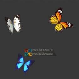 動物動作之三只蝴蝶 Max模型