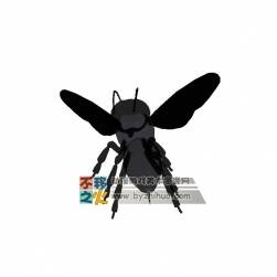 簡化蜜蜂一只 3DS模型