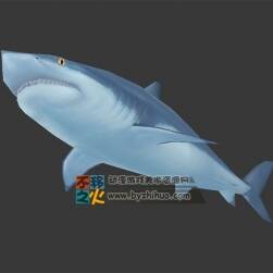 水中霸主 鯊魚 Max模型