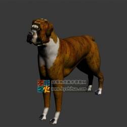 Dog 狗Max模型 高模