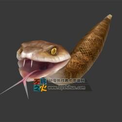 蛇 Max模型