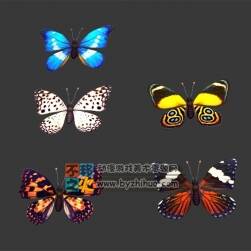 蝴蝶合集 Max模型