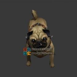 Dog 沙皮狗 Max模型 含全套動作