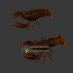 次世代兩只紅色大龍蝦模型