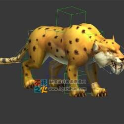 豹子 Max模型