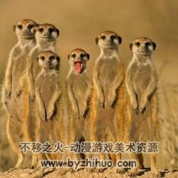 海陸生物合集參考資料 871P