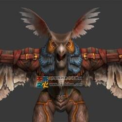 類鷹獸 貓頭鷹 Max模型