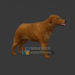 一條黃狗土狗田園犬模型