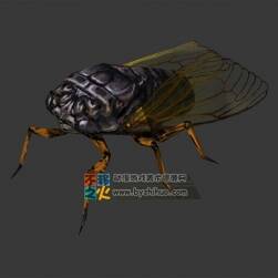 待機(jī)中的蠶 Max模型