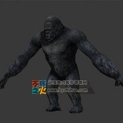 Gorilla 大猩猩 Max模型