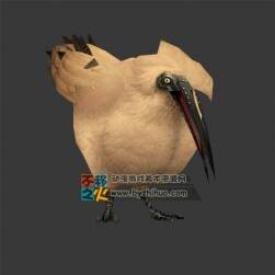 長(zhǎng)嘴烏雞 Max模型