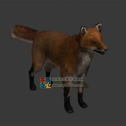 Fox 狐貍Max模型